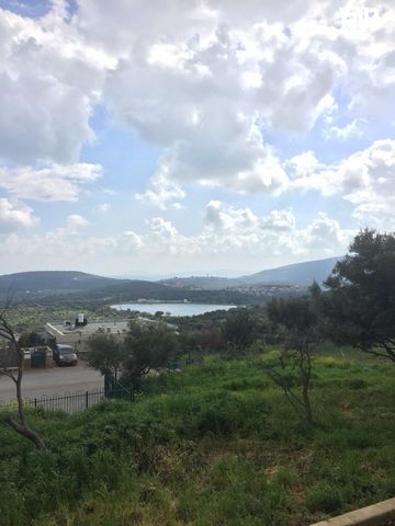 פרוד 1