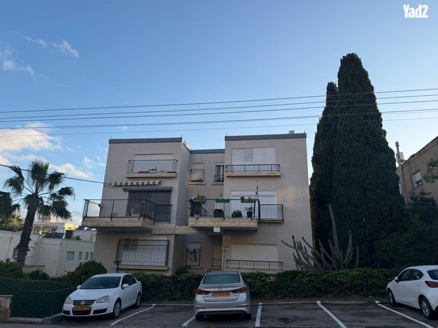חנה 24