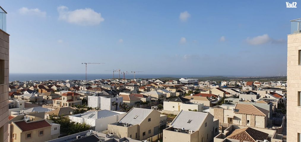 דרך היין 19