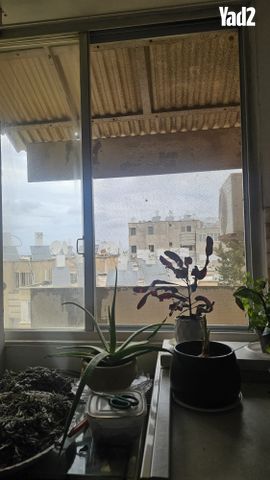 יזרעאליה