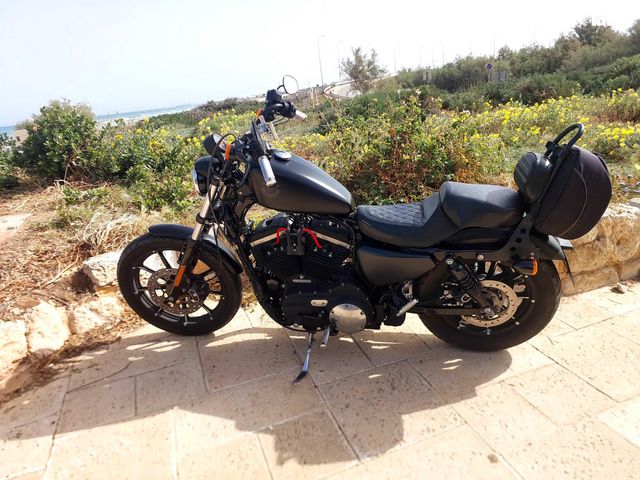 מודעת רכב הרלי דיווידסון איירון 883