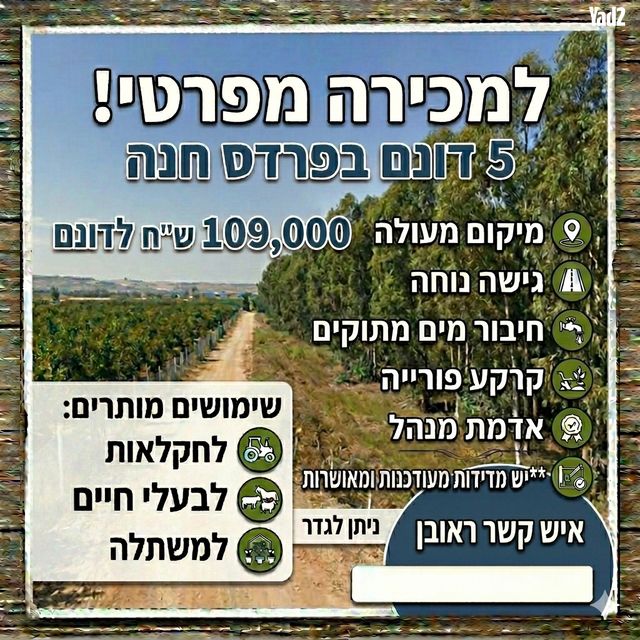 נורית 1