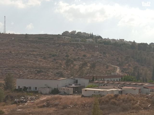 ישועת דוד 8