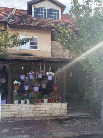 הדס 8