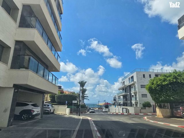 ז'בוטינסקי 4