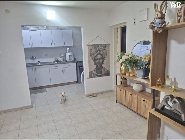 התנועה הציונית 6