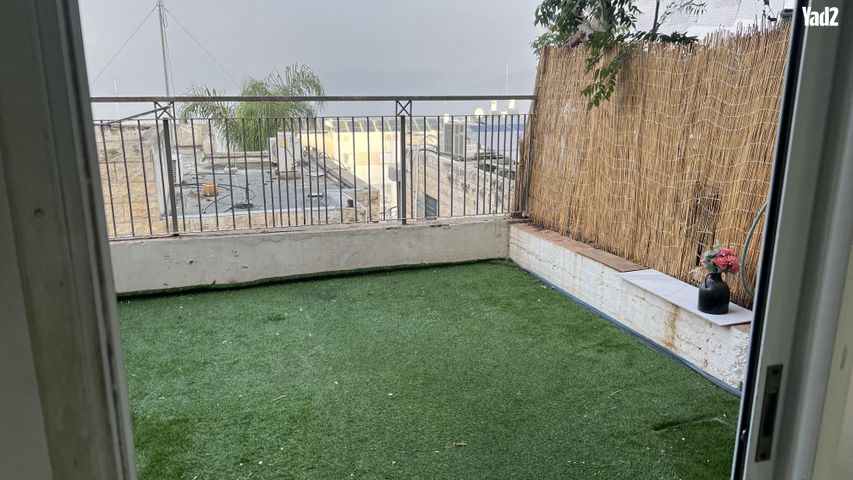 הנרקיס 30