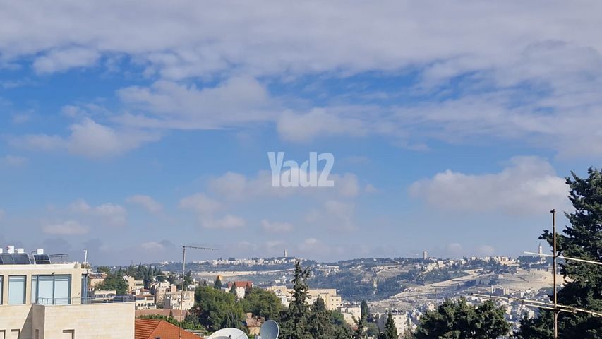 חנוך אלבק 15