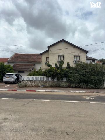 הדקל 104