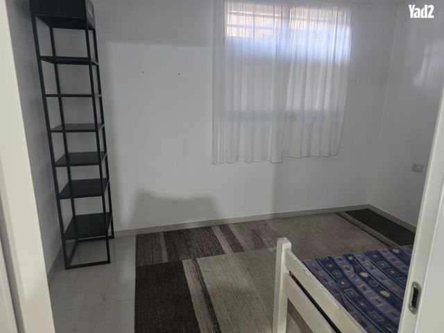 נועם לאונר 19