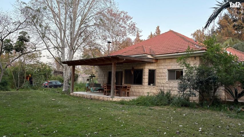 התאנה 36