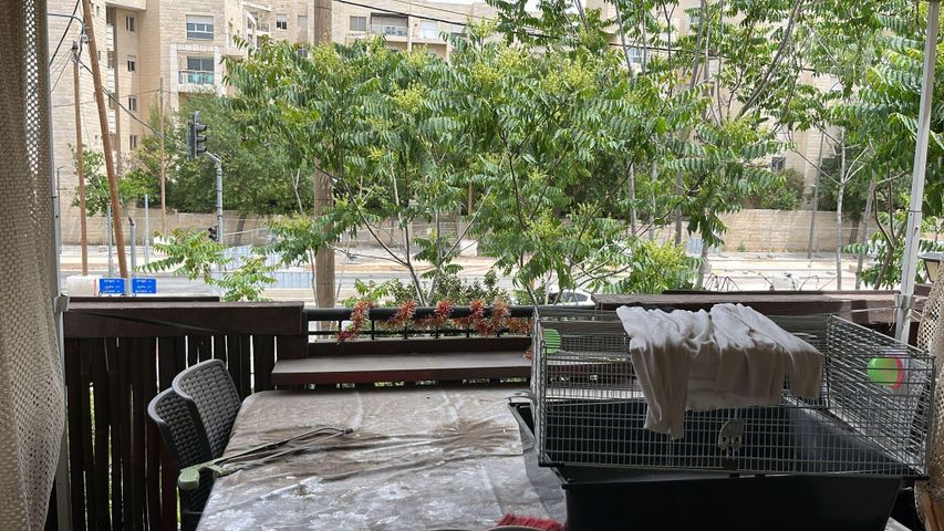 דירה להשכרה בירושלים — 3