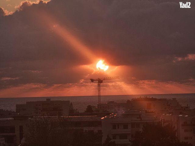 אריק שרון