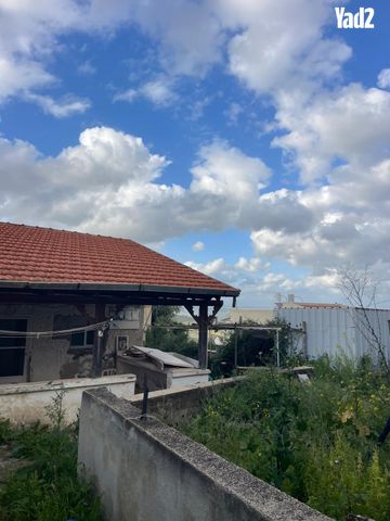 אהבת ציון 