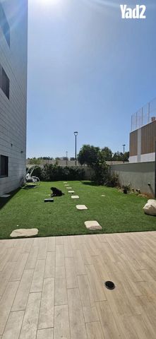 נעמי שמר 