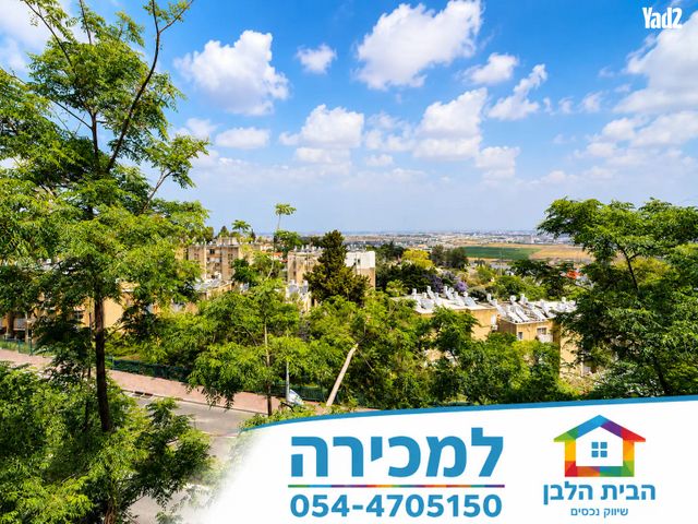חבצלת 