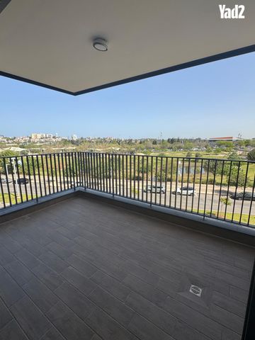 הכינור 4