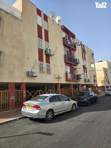 אלי כהן 23