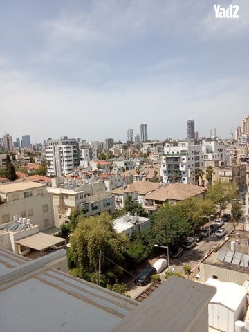 דוד פנקס 