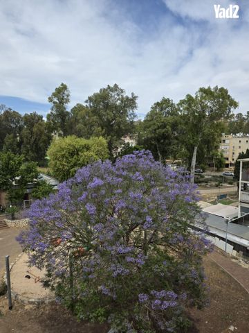 הנרייטה סולד 