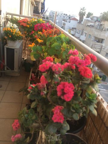 דירה למכירה בתל אביב יפו (תיווך) — 4