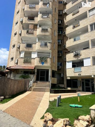 שמעון דהאן 