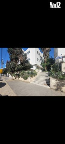 בן יהודה 