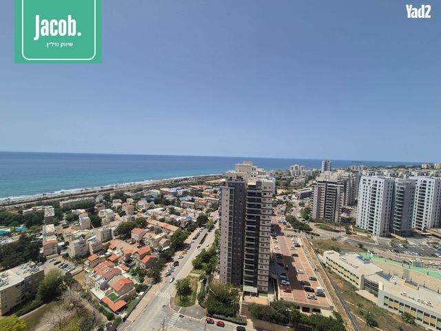המלך שלמה 