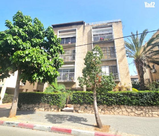 לב הזהב 19