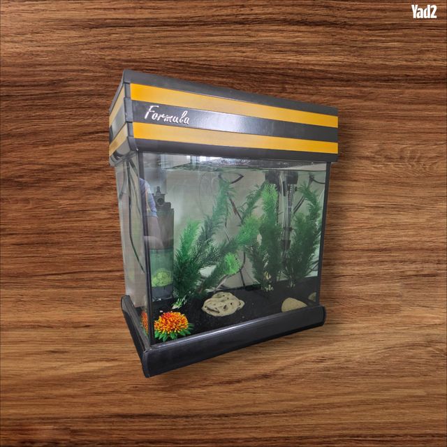 תמונת מודעה - חיות מחמד