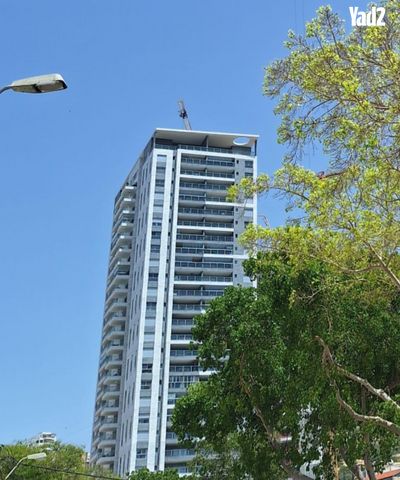 המלך שלמה 40
