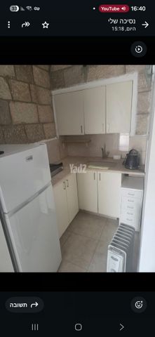 דב גרונר 235