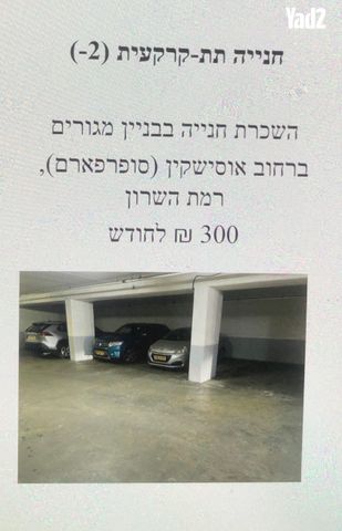 אוסישקין 58