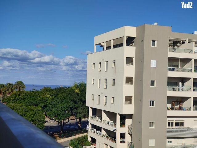 אנה פרנק 6