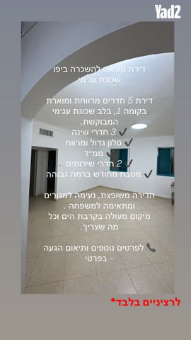 צנובר 12