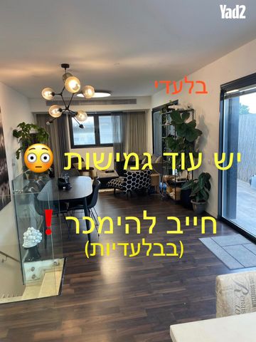 משה סנה 