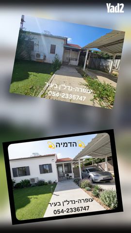 צבי גרץ 