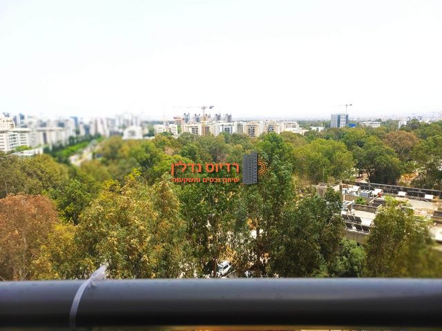 רועי קליין