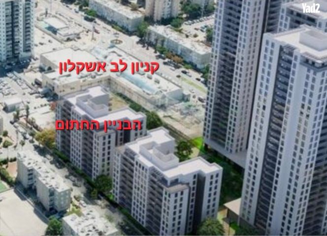 ניצנים 