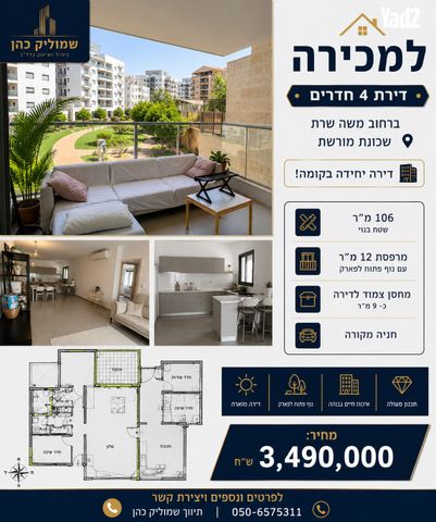משה שרת 