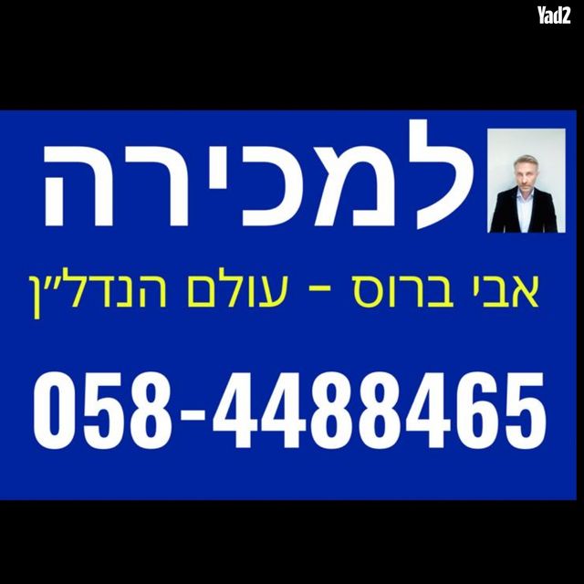 אמנון ליפקין שחק 