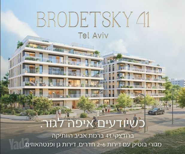 ברודצקי 