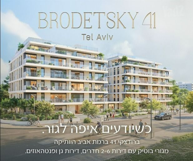 ברודצקי 