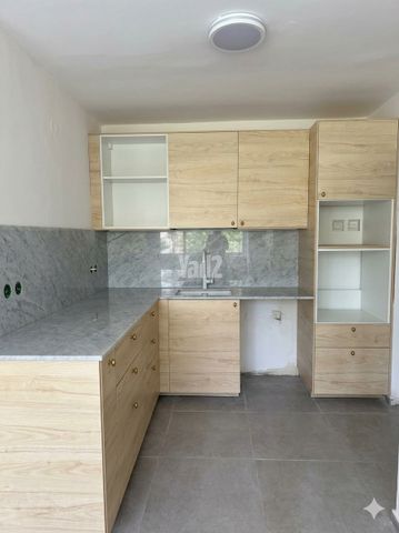רמת אביב ג'