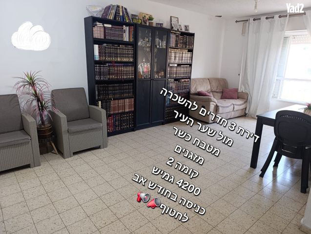 הרב אריה לוין 11