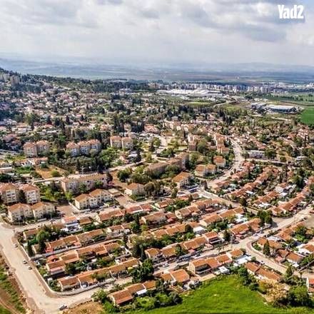 ארז 