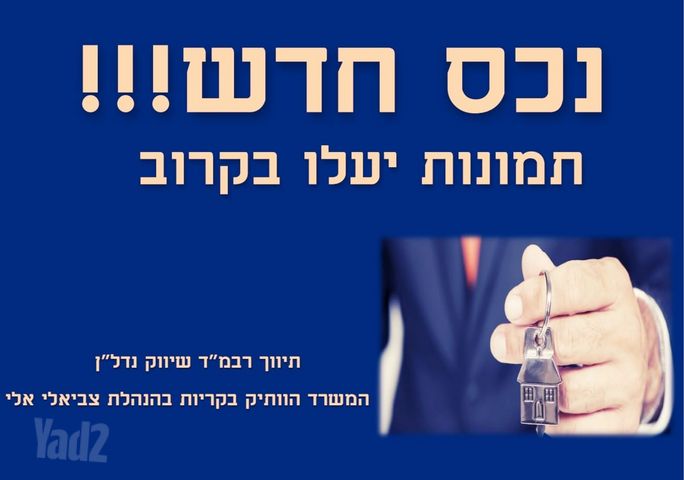 החשמונאים 
