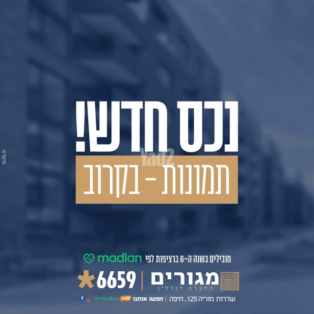 ארלוזורוב 