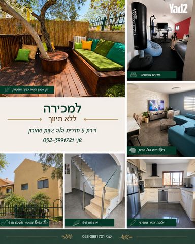 אלון 14