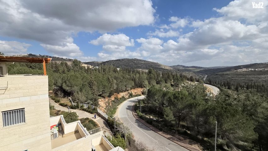 החורש 6